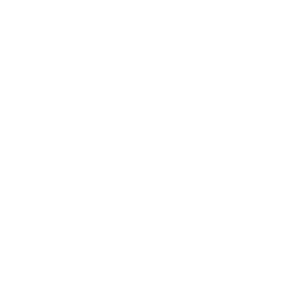 nemspiration_logo